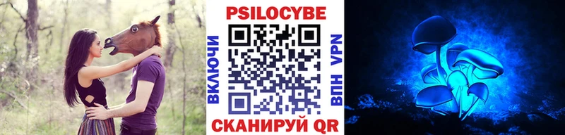 купить наркотики сайты  Козловка  Галлюциногенные грибы мухоморы 